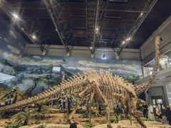 -自贡恐龙博物馆