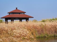 -宁波杭州湾国家湿地公园