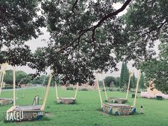 -宜兴龙背山森林公园