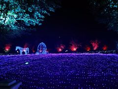 -云幽谷旅游区