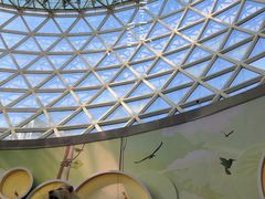 -陕西自然博物馆