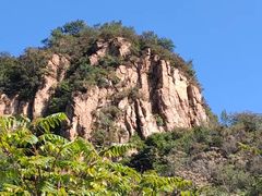 -大岭沟猕猴桃谷风景区