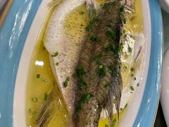 -高老庄新家宴(北斗星广场店)