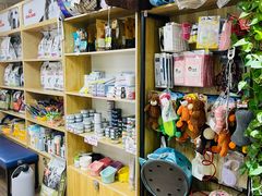 -中农大我爱我爱24h动物医院·中医针灸·猫专科·骨科医疗中心(双井店)