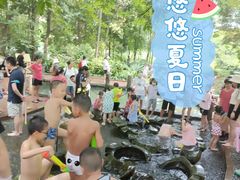 -成都市活水公园