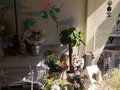 -蝶舍·MAISON PAPILLON