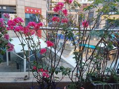 -端艾堂·SPA·艾灸(鸳鸯006店)