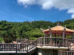 -广东惠东海龟国家级自然保护区