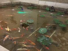 -海通1号(梅峰店)