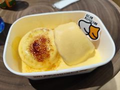 -狐狸和向日葵(北京路店)