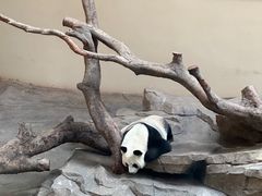 -宁波野生动物园
