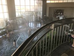 -徂徕山森林康养度假谷温泉