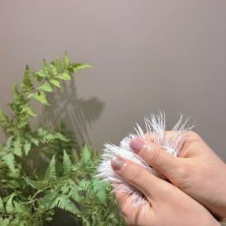 -LR HOUSE美甲美睫