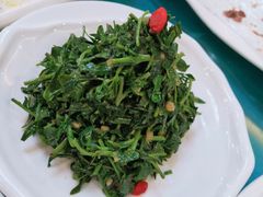 清香枸杞苗-国强手抓(北京西路店)