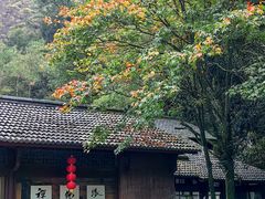 -大慈岩风景区
