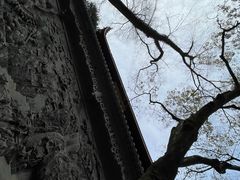 -灵隐飞来峰景区