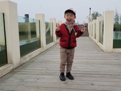 -春花秋色城市公园