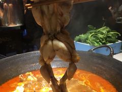 -老天桥蛙炉火锅(姑苏总店)