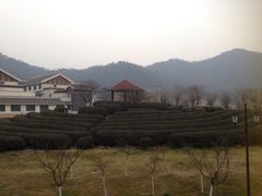 小茶山-余姚阳明温泉山庄