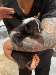 -Zoolung Zoolung动物主题公园(海信广场店)