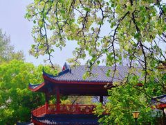 -堤角公园