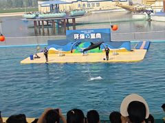 -秦皇岛乐岛海洋王国