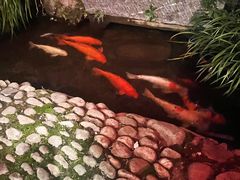 -新月集庭院咖啡馆(老邮局店)