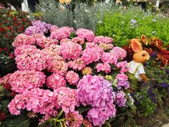 -人民公园(罗湖区)