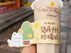 -猫的魔法密林(衣裳街店)