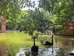 -西双版纳原始森林公园
