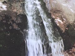 -青峰峡国家森林公园