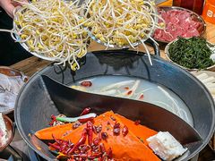 -阳阳老火锅(小南门店)