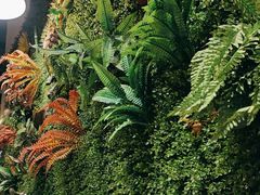 -味之绝热血美蛙鱼火锅(中坝店)