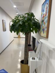 -丰联丽格医疗美容·联合丽格眼整形中心