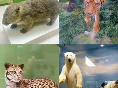 -国家自然博物馆