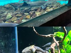 -太平洋海底世界