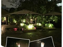 梧桐花园餐厅(车站店)-梧桐花园餐厅(新城店)