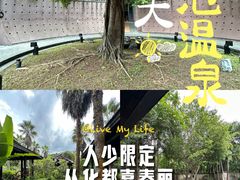 -广州从化都喜泰丽度假酒店温泉