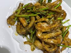 -陶然饺子城(奥体中路店)