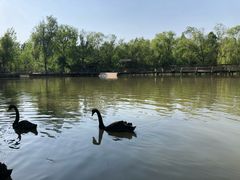 -溱湖国家湿地公园