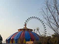 -海合安武汉极地海洋公园