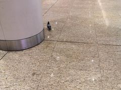 -贾特拉帕蒂·希瓦吉国际机场