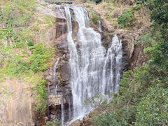 -海南热带雨林国家公园吊罗山景区