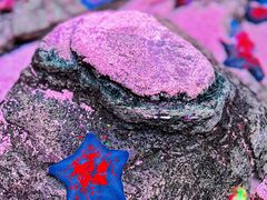 -沈阳海洋探索中心