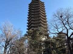 -北京大学百年讲堂