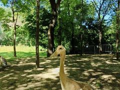 -沈阳鸟岛