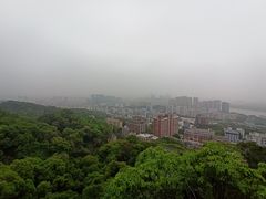-福道