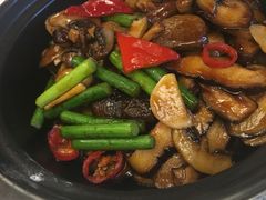 -金蝉食府(维吉奥广场店)