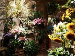 -春暖花开(西溪店)