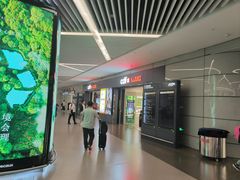 -上海浦东国际机场-T2航站楼